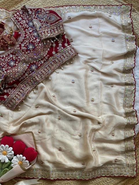 Vastrangan peacock surat wholesale market saree